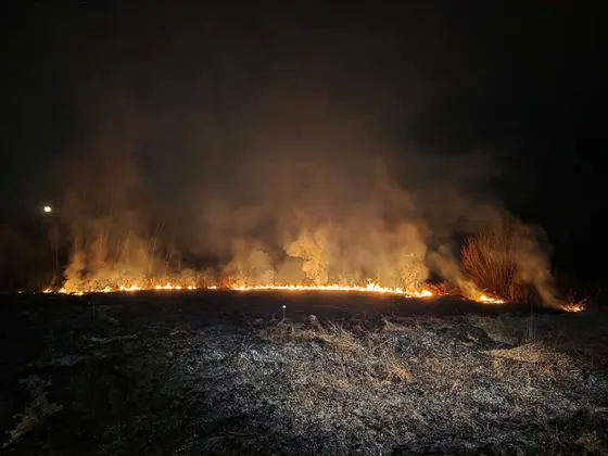 Pożar traw — 04.03.2026 — zdjęcie 8