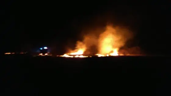 Pożar traw — 10.04.2015