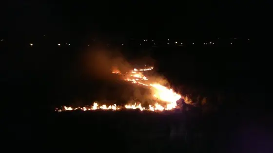 Pożar traw — 10.04.2015 — zdjęcie 2