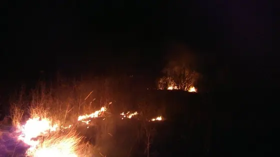 Pożar traw — 10.04.2015 — zdjęcie 3