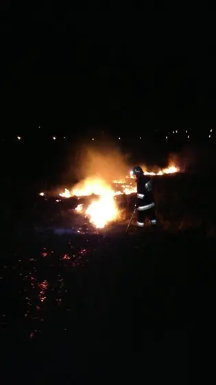 Pożar traw — 10.04.2015 — zdjęcie 4