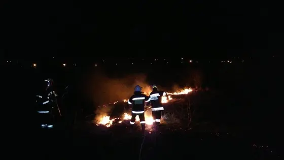 Pożar traw — 10.04.2015 — zdjęcie 5