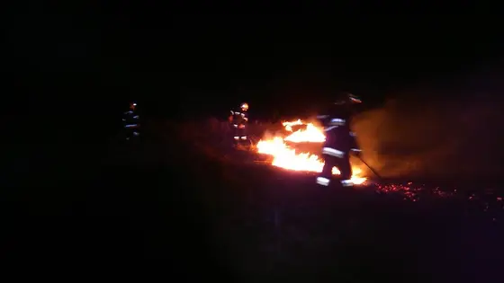 Pożar traw — 10.04.2015 — zdjęcie 7