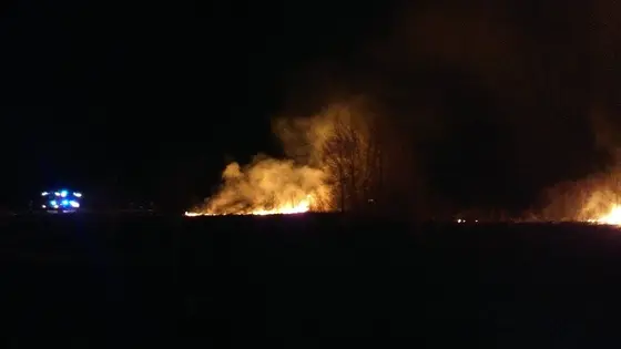 Pożar traw — 10.04.2015 — zdjęcie 8