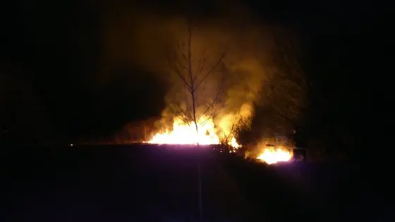 Pożar traw — 10.04.2015 — zdjęcie 9