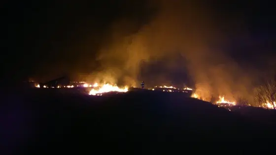 Pożar traw — 10.04.2015 — zdjęcie 11