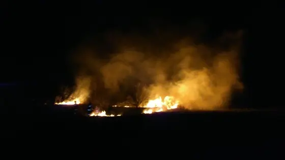 Pożar traw — 10.04.2015 — zdjęcie 15