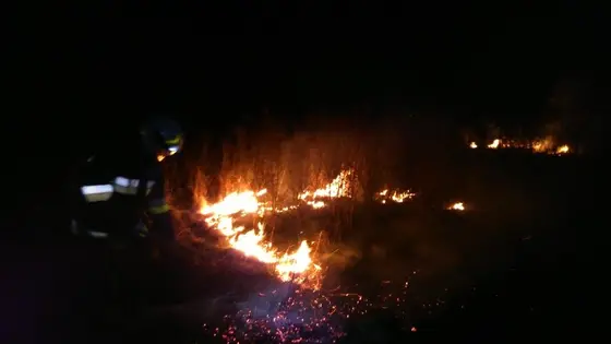Pożar traw — 10.04.2015 — zdjęcie 17