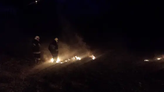 Pożar traw — 10.04.2015 — zdjęcie 18