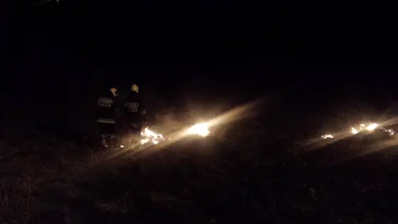 Pożar traw — 10.04.2015 — zdjęcie 19