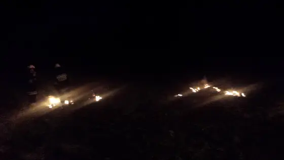 Pożar traw — 10.04.2015 — zdjęcie 20
