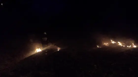 Pożar traw — 10.04.2015 — zdjęcie 21