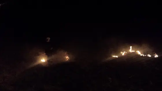 Pożar traw — 10.04.2015 — zdjęcie 22