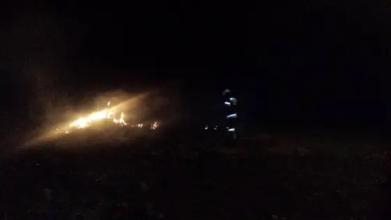 Pożar traw — 10.04.2015 — zdjęcie 24