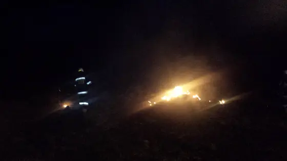Pożar traw — 10.04.2015 — zdjęcie 25