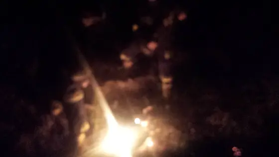 Pożar traw — 10.04.2015 — zdjęcie 28