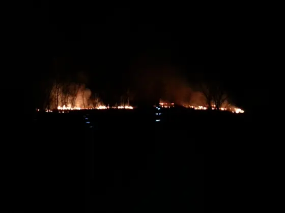 Pożar traw — 10.04.2015 — zdjęcie 31
