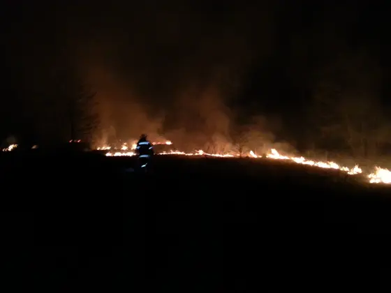 Pożar traw — 10.04.2015 — zdjęcie 35