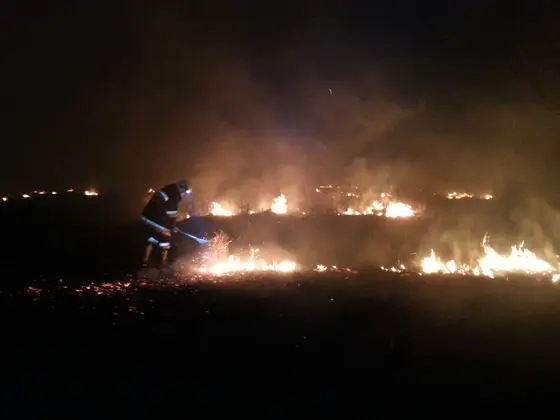 Pożar traw — 10.04.2015 — zdjęcie 36
