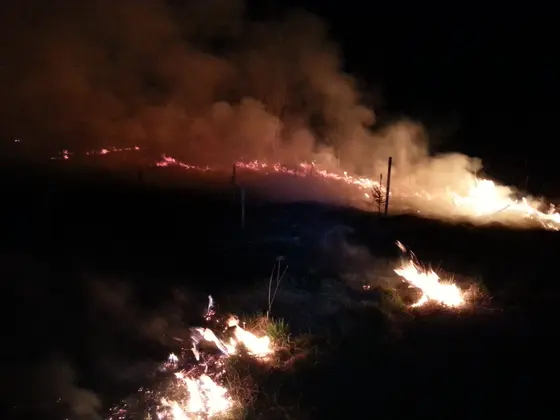 Pożar traw — 10.04.2015 — zdjęcie 37
