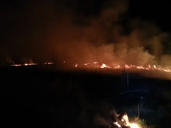 Pożar traw — 10.04.2015 — zdjęcie 38