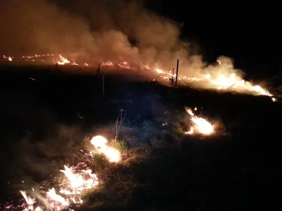 Pożar traw — 10.04.2015 — zdjęcie 39