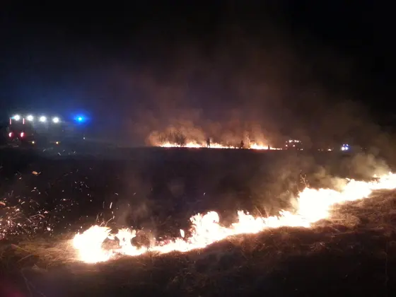 Pożar traw — 10.04.2015 — zdjęcie 41