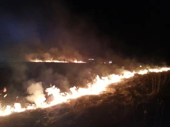 Pożar traw — 10.04.2015 — zdjęcie 42