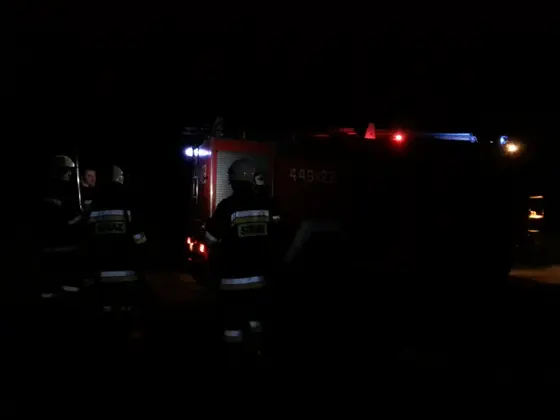 Pożar traw — 10.04.2015 — zdjęcie 46