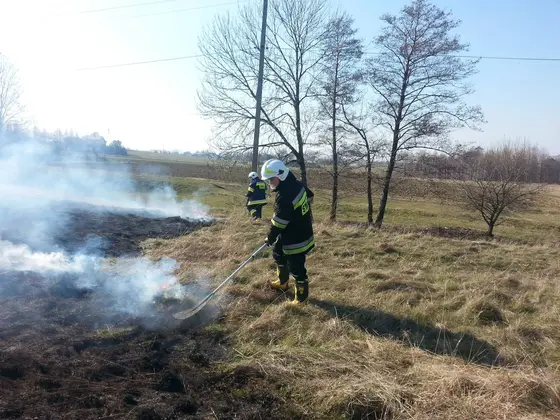 Kronika jednostki 2014 — cały rok — zdjęcie 1511