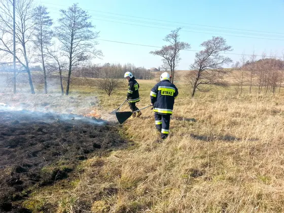 Kronika jednostki 2014 — cały rok — zdjęcie 1512