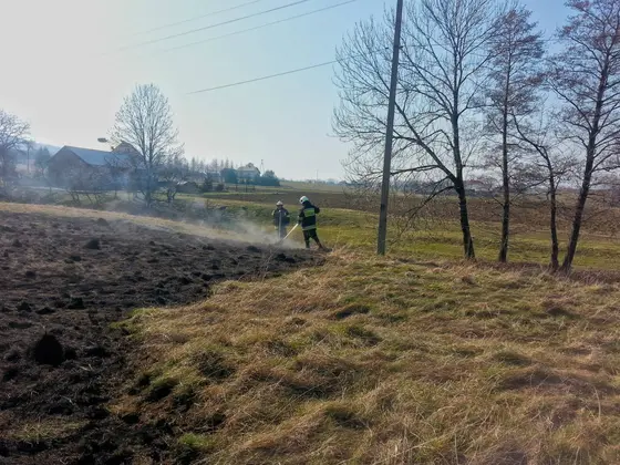 Kronika jednostki 2014 — cały rok — zdjęcie 1514