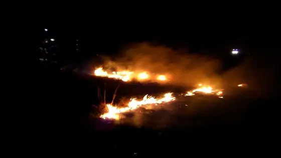 Pożar traw – 11.04.2015r. — zdjęcie 3
