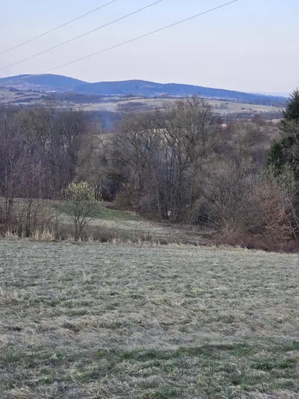 Pożar traw — 12.03.2026 — zdjęcie 3