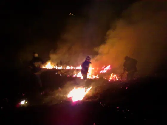 Kronika jednostki 2014 — cały rok — zdjęcie 1504