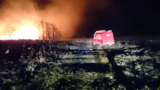 Pożar traw – 15.04.2015r. — zdjęcie 2