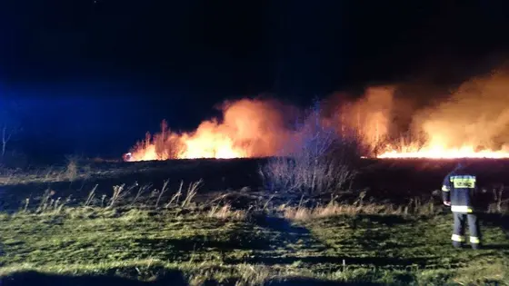 Pożar traw – 15.04.2015r. — zdjęcie 4