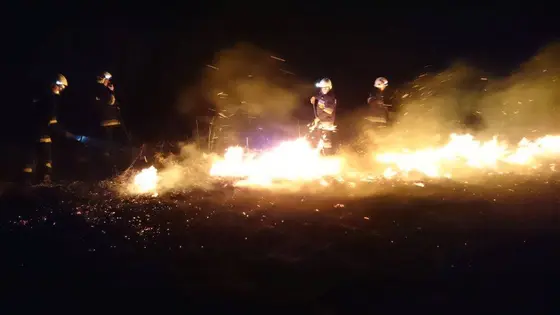 Pożar traw – 15.04.2015r. — zdjęcie 9