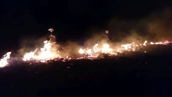 Pożar traw – 15.04.2015r. — zdjęcie 10