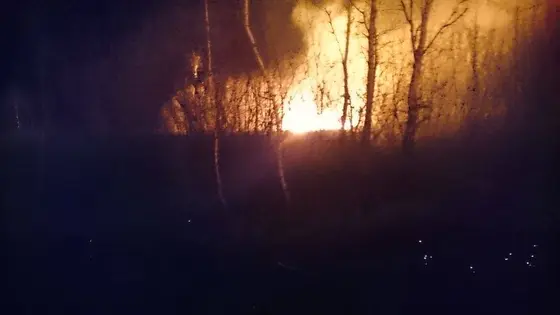 Pożar traw – 15.04.2015r. — zdjęcie 18