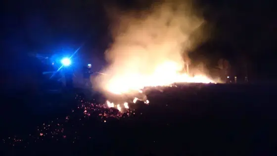Pożar traw – 15.04.2015r. — zdjęcie 19
