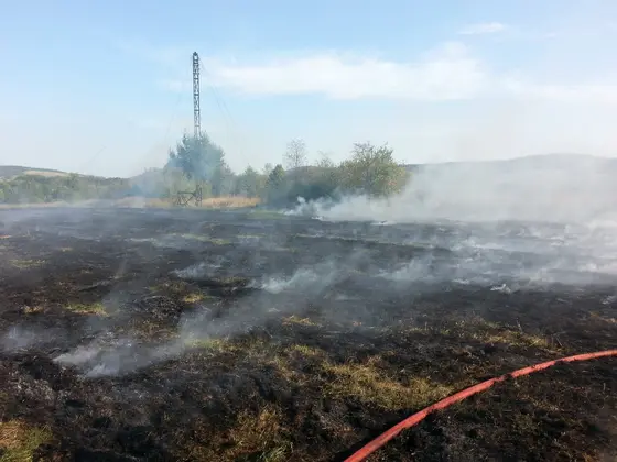 Kronika jednostki 2015 — cały rok — zdjęcie 280