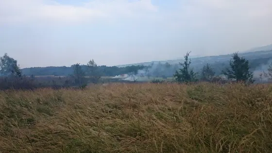 Pożar traw – 30.08.2015 — zdjęcie 4