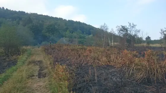Pożar traw – 30.08.2015 — zdjęcie 8