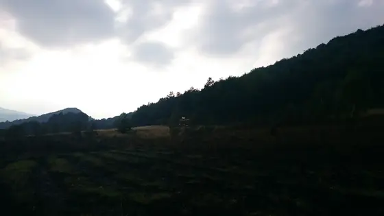 Pożar traw – 30.08.2015 — zdjęcie 9