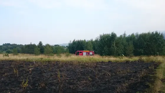 Pożar traw – 30.08.2015 — zdjęcie 10