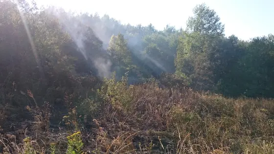 Pożar traw – 01.09.2015 — zdjęcie 11