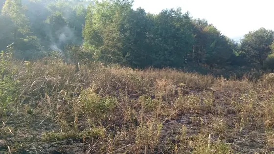 Pożar traw – 01.09.2015 — zdjęcie 13