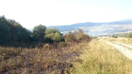 Pożar traw – 01.09.2015 — zdjęcie 14