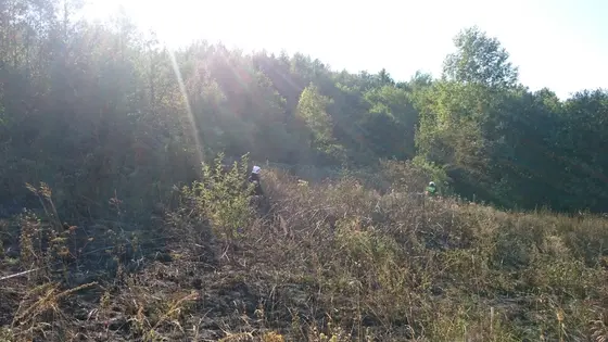 Pożar traw – 01.09.2015 — zdjęcie 16